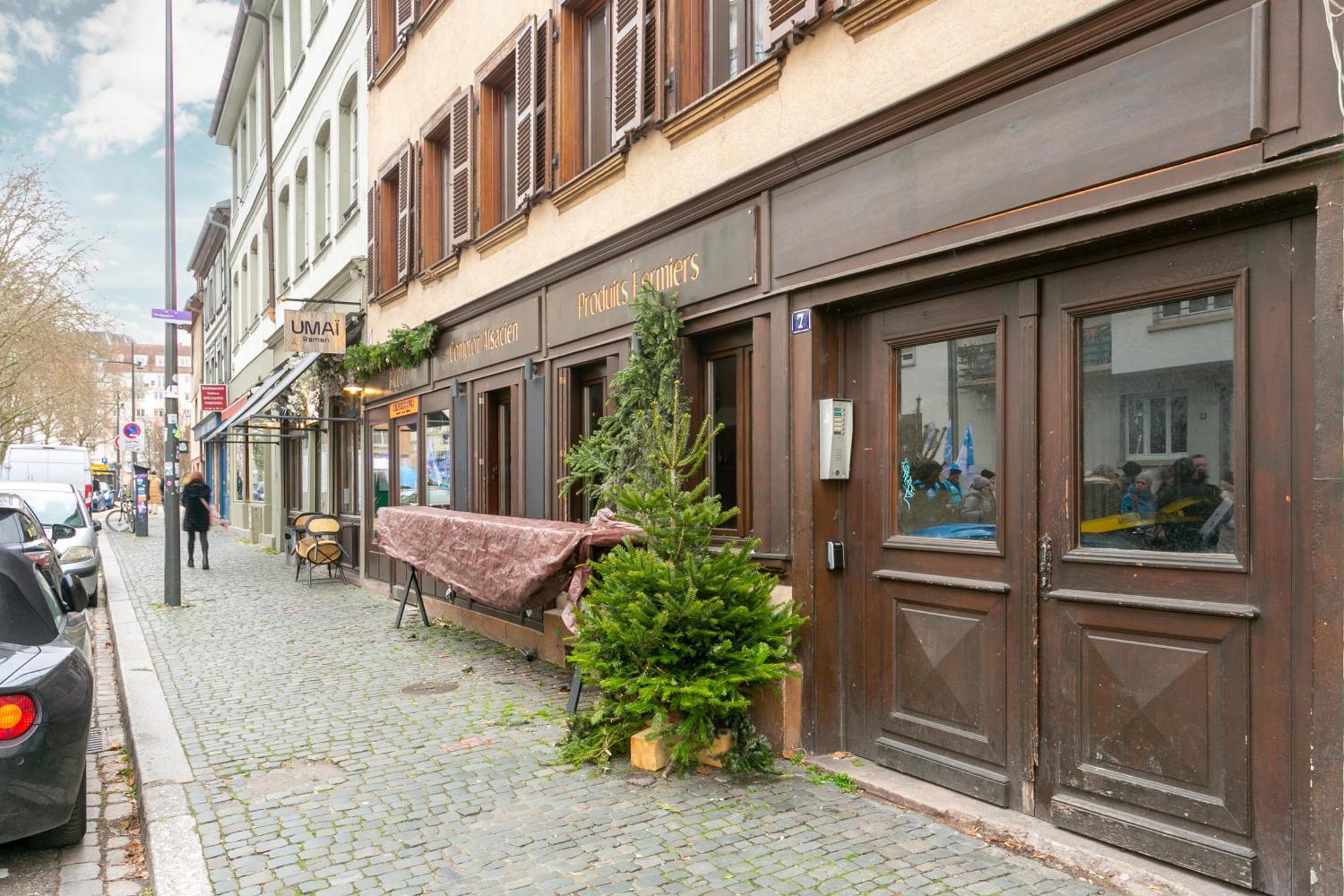 Centre-ville De 35m2 A 5 Minutes De La Cathedrale Appartement Straatsburg